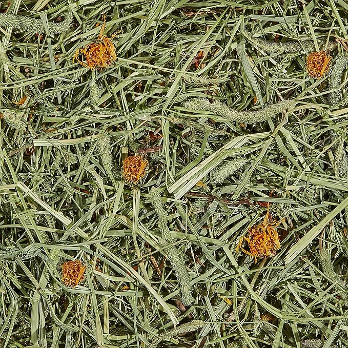 Kaytee All Natural Timothy Hay Plus Marigolds for Guinea Pigs, Rabbits & Other Small Animals, 24 Ounce